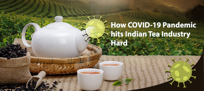 COVID 19 Tea Industry Impact